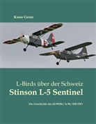 Kuno Gross - L-Birds über der Schweiz - Stinson L-5 Sentinel