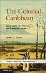 James Delle, James a. Delle, James A. (Kutztown University Delle, Delle James A. - Colonial Caribbean