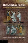 Paul L. Coakley Gavrilyuk, Sarah Coakley, Paul L. Gavrilyuk, Gavrilyuk Paul L. - Spiritual Senses