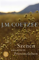 J. M. Coetzee - Szenen aus einem Provinzleben