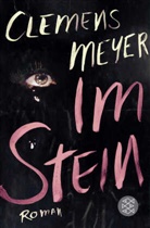 Clemens Meyer - Im Stein
