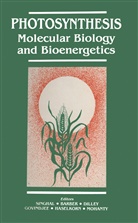 Richard A Dilley et al, Jame Barber, James Barber, Richard A. Dilley, Govindjee, Govindjee... - Photosynthesis