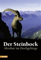 Karl Demetz - Der Steinbock