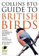 Paul Sterry &amp; Paul Stancliffe, Paul Stancliffe, Stancliffe Paul, Paul Sterry, Paul Stancliffe Sterry, Paul Stannard Sterry... - Collins BTO Guide to British Birds