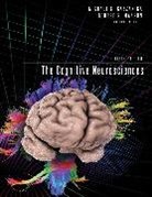 Renée Baillargeon, Sarah-Jayne Blakemore, Michael S Gazzaniga, Michael S. Gazzaniga, Michael S. Mangun Gazzaniga, George R Mangun... - The Cognitive Neurosciences, fifth edition