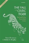 Donal Donovan, Donal (Member of Irish Fiscal Advisory Co Donovan, Donal Murphy Donovan, Donovan Donal, Antoin E. Murphy, Murphy Antoin E. - Fall of the Celtic Tiger