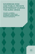 E. Braja, Eugenio Ma Braja, Eugenio Mario Braja, M. Campra, Maur Campra, Maura Campra... - Sovereign Risk and Public-Private Partnership During the Euro Crisis