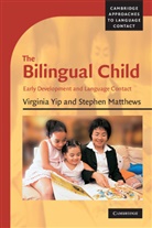 Stephen Matthews, Virginia Yip, Virginia (Professor Yip, Virginia Matthews Yip - Bilingual Child