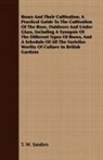T. W. Sanders - Roses and Their Cultivation. A Practical