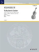 Friedrich August Kummer, Fran Schubert, Franz Schubert, Wolfgan Birtel, Wolfgang Birtel - Schubert-Lieder