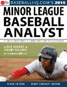 Jeremy Deloney, Rob Gordon, Rob/ Deloney Gordon, Brent Hershey - 2015 Minor League Baseball Analyst