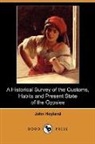 John Hoyland - A Historical Survey of the Customs, Habi