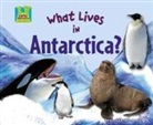 Oona Gaarder-Juntti - What Lives in Antarctica?