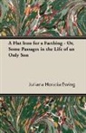 Juliana Horat Ewing, Juliana Horatia Ewing - A Flat Iron for a Farthing - Or, Some P