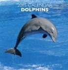Peony Press - 2015 Dolphins Calendar
