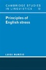 Luigi Burzio, Luigi (The Johns Hopkins University) Burzio, S. R. Anderson, J. Bresnan - Principles of English Stress