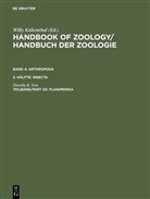 Timothy R New, Timothy R. New, Will Kükenthal, Willy Kükenthal - Handbook of Zoology/ Handbuch der Zoologie. Arthro - Band 4. 2. Hälfte. Teilband/Part 30: Planipennia