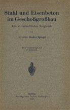 Gustav Spiegel - Stahl und Eisenbeton im Geschoßgroßbau