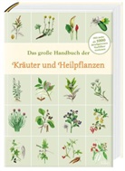 Hans W Kothe, Hans W. Kothe, Marlene Passet - Das große Handbuch der Kräuter und Heilpflanzen
