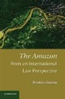 Beatriz Garcia, Garcia Beatriz - Amazon From an International Law Perspective