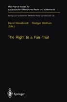 Weissbrodt, D Weissbrodt, D. Weissbrodt, David Weissbrodt, Wolfrum, Wolfrum... - The Right to a Fair Trial