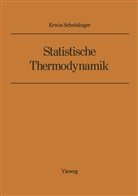 Erwin Schrödinger - Statistische Thermodynamik