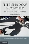 Dominik H. Enste, Enste Dominik H., Friedrich Schneider, Friedrich (Johannes Kepler Universitat Schneider, Friedrich (Johannes Kepler Universitat Linz) Schneider, Friedrich Enste Schneider... - Shadow Economy