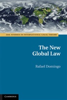 Rafael Domingo, Rafael (Professor of Law Domingo - New Global Law