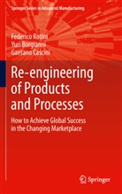 Yur Borgianni, Yuri Borgianni, Gaetano Cascini, Federic Rotini, Federico Rotini - Re-engineering of Products and Processes