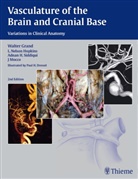Walte Grand, Walter Grand, L Nelso Hopkins, L Nelson Hopkins, L. Nelson Hopkins, J. Mocco... - Vasculature of the Brain and Cranial Base
