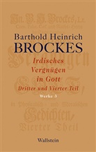 Barthold H. Brockes, Barthold Heinrich Brockes, Jürgen Rathje, Jürge Rathje, Jürgen Rathje, Jürgen Rathje (Dr.) - Irdisches Vergnügen in Gott. Tl.3-4