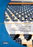 Stefan Biegerl - Grünes Gewissen und finanzieller Profit: Photovoltaik und konservative Geldanlage im Direktvergleich