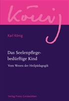 Karl König, Pete Selg, Peter Selg, Steel, Richard Steel - Werkausgabe: Das Seelenpflege-bedürftige Kind