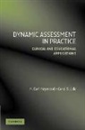 H. Carl Haywood, H. Carl (Vanderbilt University Haywood, H. Carl Lidz Haywood, H.carl Lidz Haywood, Haywood H. Carl, Carol S. Lidz... - Dynamic Assessment in Practice