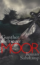 Gunther Geltinger - Moor