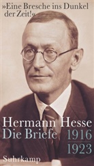 Hermann Hesse, Volke Michels, Volker Michels - "Eine Bresche ins Dunkel der Zeit!"