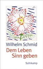 Wilhelm Schmid - Dem Leben Sinn geben