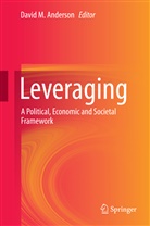 David M. Anderson, Davi M Anderson, David M Anderson - Leveraging