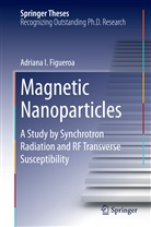 Adriana I Figueroa, Adriana I. Figueroa - Magnetic Nanoparticles