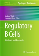 MION, Mion, Francesca Mion, Gaetan Vitale, Gaetano Vitale - Regulatory B Cells
