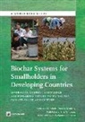 Kelli Roberts, Sebastian Scholz, Sebastian B. Scholz, Sebastian/ Sembres Scholz, Thomas Sembres - Biochar Systems for Smallholders in Developing Countries