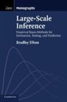 Bradley Efron, Bradley (Stanford University Efron - Large-Scale Inference
