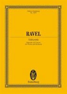 Maurice Ravel, Arbie Orenstein - Tzigane
