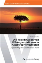 Michael Pletscher - Die Koordination von Hilfsorganisationen in Katastrophengebieten