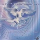 Shamballah - Cosmic Sitar, 1 Audio-CD (Hörbuch)