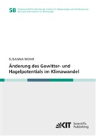 Susanna Mohr - Änderung des Gewitter- und Hagelpotentials im Klimawandel