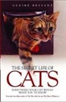 Claire Bessant - Secret Life of Cats