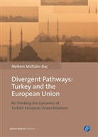 Meltem Müftüler-Bac, Meltem Müftüler-Baç - Divergent Pathways: Turkey and the European Union