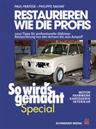 Pau Fraysse, Paul Fraysse, Philippe Sauvat - Restaurieren wie die Profis. Bd.1
