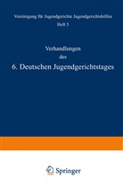 Krall, Kra Krall, Kral Krall, E v u a Liszt, E. V. Liszt, Charlotte Meyer... - Verhandlungen des 6. Deutschen Jugendgerichtstages